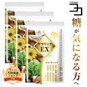 血糖値 サプリ 菊芋 イヌリン 食物繊維 コンブチャ サラシア ナットウキナーゼ ダイエットサプリ 糖質 吸収 抑える ラクトフェリン イワシペプチド 多殻麹 黒たまねぎ サラリッチEX 540粒 3個セット 一日6粒目安