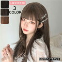 ウィッグ ロング ポニーテール 自然 グラデーション フルウィッグ セミロング 耐熱 メッシュ カール かつら 女性 医療用 金髪 黒髪 wig かつら コスプレ ネット付 変装 女装 ストレート イベント パーティー dp048d4(4)