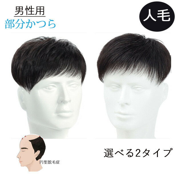 部分ウィッグ メンズウィッグ かつら ヘアピース ポイントウィッグ 付け毛 脱毛症 薄毛 白髪隠れ トップカバー 普段使い