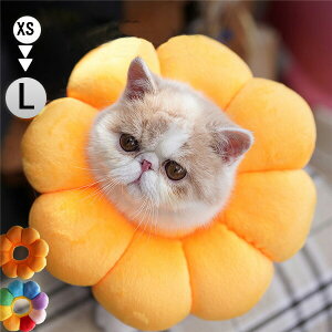 軽くて柔らかくて可愛い 猫ちゃんも喜ぶソフトタイプのエリザベスカラーのおすすめランキング わたしと 暮らし 軽くて柔らかくて可愛い 猫ちゃんも喜ぶソフトタイプのエリザベスカラーのおすすめランキング わたしと 暮らし