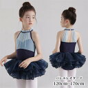 バレエ レオタード 子供 キッズ ジュニア スカート付き ハイネック バレエレオタード 人気 子供用 子供サイズ ダンス 体操 発表会 バレリーナ バレエ衣装 ...