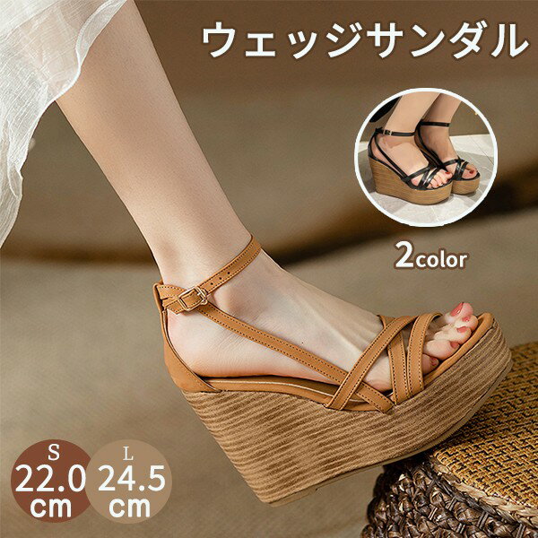 �����å������� ������� ��ǥ����� ������� ���줤�� �⤭�䤹�� ���ȥ�å� ���� �ҡ���12cm ���쥵����� ���ȥ�åץ������ ������ͭ�� �����奢��...