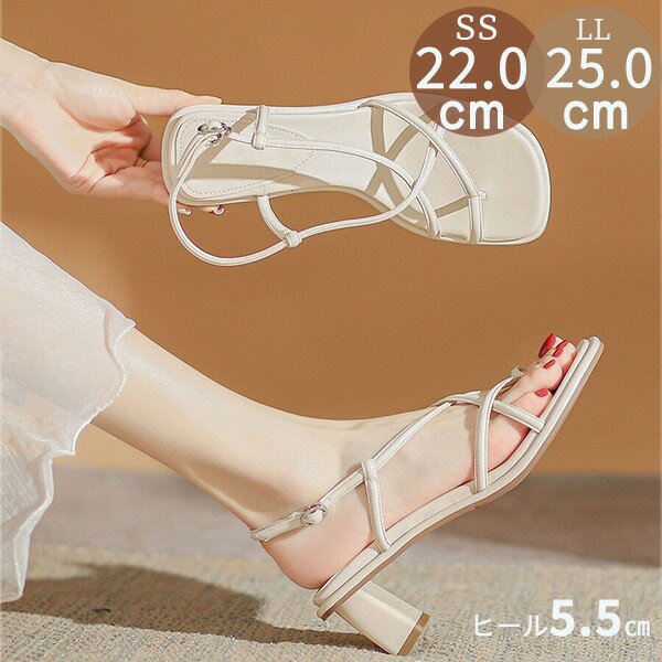 22.0-24.5cm �������ȥ�åץ������ ��ǥ����� ������� ���줤�� �⤭�䤹�� �ҡ���5.5cm ���󥯥륹�ȥ�å� ���ҡ��� �����ҡ��� �������...