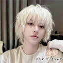 ウィッグ ショート メンズ メンズ フルウィッグ かつら ウィッグ 自然 ショートウィッグ 前髪あり コスプレ 男装 おしゃれ ナチュラル かっこいい 可愛い ...