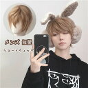 茶髪 フルウイッグ メンズ 日常 wig 自然 小顔 キュート かつら つけ毛 コスプレ ハロウィン 耐熱ウィッグ 通気性抜群 コスチューム 小顔効果抜群 可愛...