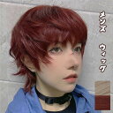 ウィッグ メンズ 日常 wig 自然 小顔 キュート かつら つけ毛 前髪 コスプレ ハロウィン 耐熱ウィッグ 通気性抜群 コスチューム 小顔効果抜群 可愛い 仮装 大人用 ネット付き 男装 おしゃれ ナチュラル かっこいい 可愛い ショート dp153g4g4l9