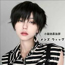 ウィッグ ショート メンズ 短髪 黒髪 かつら 超自然 フルウィッグ コスプレ おしゃれ 男装 可愛い ショート 耐熱ウィッグ グレー 小顔効果抜群 コスチュー...