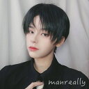ウィッグ フルウィッグ ショートウィッグ ショートヘア 短髪 かつら 演劇 自然 前髪あり コスプレ 男装 おしゃれ ナチュラル かっこいい 可愛い ショート ...