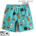 水着 メンズ サーフパンツ 速乾 水陸両用 総柄 ショートパンツ 短パン ビーチパンツ 大きいサイズ 海パン スイムパンツ リゾート 海 プール 行楽 レジャー...