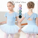 バレエ レオタード 子供 キッズ 女の子 スカートなし 可愛さ満載 ストレッチ 練習着 伸縮 バレエ用品 バレエダンス 連体ダンス服 股下スナップ ジュニア 演...