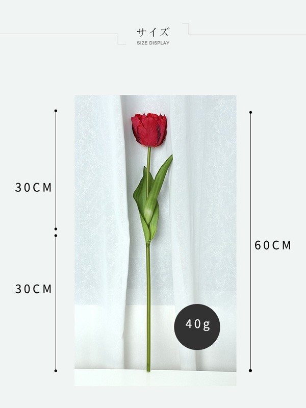 ´�ȼ� ��« ��� ���塼��å� ���� ���ƾ�ʪ �֡��� ����ƥꥢ �ե�����󥸥��� �� ���塼��å� �٥åȥ����� £��ʪ ������ ������ ���ե� ���� ���å��� ���襤�� �ץ쥼��� ���ե� ������� ����� ¤�� ja020lalazb