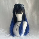 ウィッグ レディース フルウィッグ ブルー ブラック 黒 ロング 前髪あり 可愛い かわいい 大人用 コスプレ ロリータ ゴスロリ コスチューム 原宿風 仮装 超自然 かつら 自然 小顔 変装 女装 文化祭 学園祭 dp022lclcm5