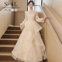 ロングドレス 演奏会 袖付き 長袖 キラキラ 大人 ピアノ 発表会 大きいサイズ 結婚式 母親 演奏会用ドレス ロング 披露宴 韓国 イブニングドレス パーティードレス ワンピース 二次会 花嫁 dg253n1n1zr