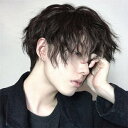 ウィッグ メンズ 短髪 巻き毛 パーマ かつら 超自然 フルウィッグ コスプレウィッグ 可愛い ショート 耐熱ウィッグ 小顔効果抜群 コスチューム dp038n...