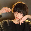 ウィッグ メンズ 短髪 かつら 超自然 フルウィッグ コスプレウィッグ かわいい ショート 耐熱ウィッグ 黒 小顔効果抜群 コスチューム dp055n1n1x2