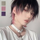 ウィッグ メンズ インナーカラー 短髪 かつら 自然 フルウィッグ ショートウィッグ ショートヘア 前髪あり コスプレ パーティー 男装 おしゃれ ナチュラル ...