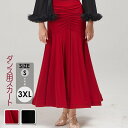 社交ダンス衣装 スカート(単品) ダンススカート ボトムス タイトスカート 練習着 レッスン用 フリル 社交ダンス 競技着 練習服 発表会 イベント 大きいサイズ 団体 ブラック 黒 レッド 赤 s m l xl 2xl 3xl db157s1