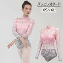 バレエ レオタード 大人 長袖 スカート無し レース ハイネック バレエ用品 ballet用品 レッスン着 お洒落 練習着 演出用 可愛い バレエダンス ダンス...