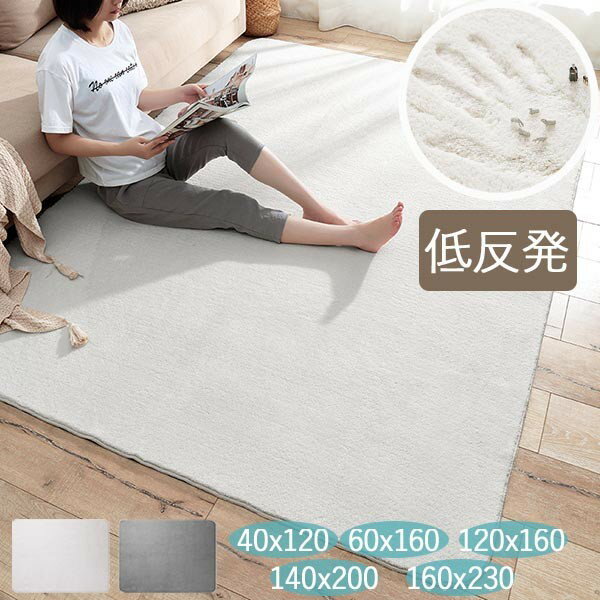 絨毯 マット ラグ カーペット ボア 低反発 長方形 北欧 おしゃれ リビング 寝室 洗える ウォッシャブル 床暖対応 滑りにくい ノンスリップ オールシーズン...