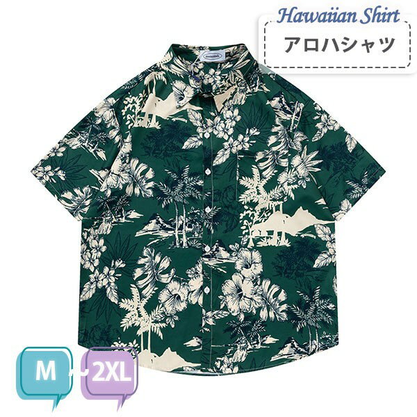 ϥ  ܥ˥ ꡼ դä  ǥ ߥ  åȥ ʪ ϥ磻 Ⱦµ 礭 ơ ...