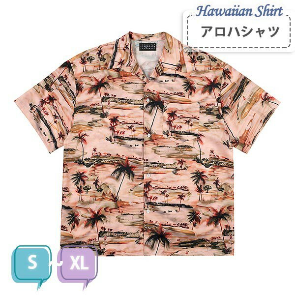 ϥ  ܥ˥ 䥷  ǥ ڥå ˽ ߥ ʪ ι ϥ磻 Ⱦµ ơ ץ...