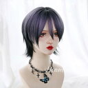 ウィッグ メンズ 男装 短髪 かつら フルウィッグ ショートウィッグ 巻き髪 コスプレウィッグ ショート ショートヘア 演劇 自然 前髪あり コスプレ おしゃれ かっこいい 可愛い 耐熱ウィッグ 小顔効果抜群 コスチューム 文化祭 学園祭 イベント dp173x1x1zb