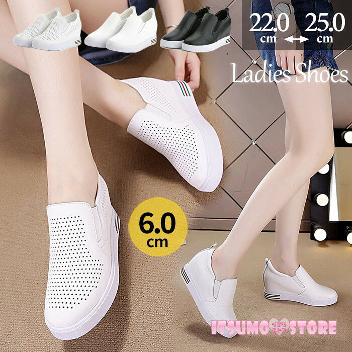 ����ҡ��륹�ˡ����� ��ǥ����� ���� ����åݥ� 6cm�ҡ��� �ˤ��ʤ� ����ʤ� �ѥ���� ��å��� �����䤹�� æ���䤹�� �ڤ��� ���� ��Ĺ ��������...