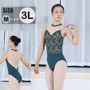 バレエ レオタード 大人 シニア ダンス 体操 バレエ用品 新体操 コスチューム グリーン大人用 パット付き バレエ衣装 練習衣装 ダンス服 レッスン着 大人サイズ S M L XL dm094x2x2x2