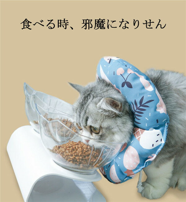 ���ꥶ�٥����顼 ǭ�� ���ե� ���餫 �ʼ� ���� �Ѹ� ���餫�� �إ륹���� �ݸ�� ���Ӥ��ɻ� �����ɻ� ������ ��ǥ �Ѹ奦���� ��Ŭ ����Ĵ����ǽ ���������꡼�� ǭ�� �Ǥ��� �����ݸ� �����ߤ��ɻ� ��� �դ�դ� �֥롼 �� �� �忧 k2003x2x2x2