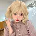 ウィッグ レディース フルウィッグ ミディアム ぱっつん前髪 前髪あり 可愛い かわいい 大人用 コスプレ ロリータ ゴスロリ コスチューム 原宿風 仮装 超自然 かつら wig Lolita 小顔 文化祭 dp026x5x5zr