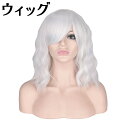 EBbO fB[X tEBbO ~fBA  킢 lp RXv [^ SX RX`[ h  R  wig Lolita   dp032x5x5zr