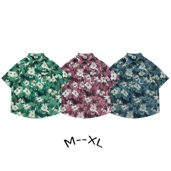 ϥ ˽  5ʬµ ϥ磻   İ ä ηС С ǥ  ߥ  礭 ...