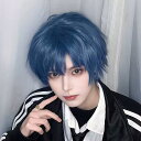 ウィッグ メンズ 短髪 男装 かつら ハロウィン コスプレ 仮装 かつら 自然 フルウィッグ ショートウィッグ ショートヘア 前髪あり コスプレ 男装 かっこいい 可愛い ショート 耐熱 小顔効果抜群 文化祭 学園祭 イベント ca041zb