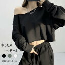 パーカー ショート丈 スウェット トップス クロップド レディース ミニ へそ出し ダンス 衣装 練習着 ヒップホップ プルオーバー 長袖 女の子 ジム フィットネス ズンバ ウェア 韓国 k-pop かわいい 大きい ファッション 無地 おしゃれ ブラック ホワイト グリーン nn001zb