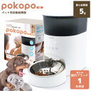 【1年保証】 pokopo ez 自動給餌器 ペット 最小5g 最大200g 犬 猫 小動物 録音機能 スケジュール6パターン タイマー 水洗い 乾燥剤BOX ...