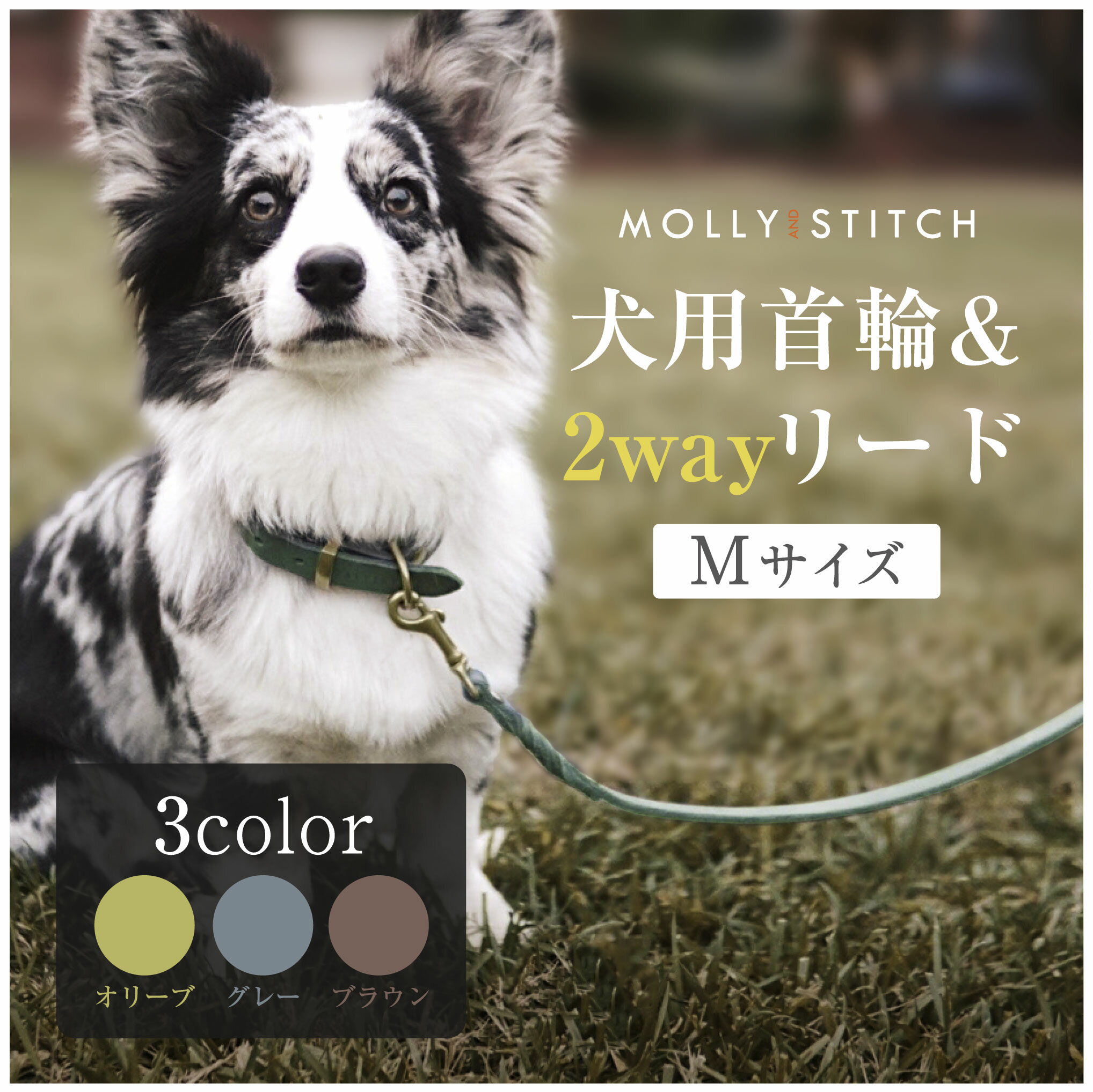 【お買い物マラソン限定ポイント10倍+クーポン】犬用首輪+リード Mサイズ 柴犬 ビーグル MOLLY&STITCH BUTTER Collar & 2X Leash おしゃれ シンプル カジュアル 無地 ハンドメイド 革製 真鍮 オーストラリア産 ドッグアクセサリー