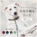 犬用首輪+リード Mサイズ 柴犬 ビーグル MOLLY&STITCH TOUCH OF LEATHER おしゃれ シンプル カジュアル 無地 ハンドメイド 革製 真鍮 オーストラリア産 ドッグアクセサリー