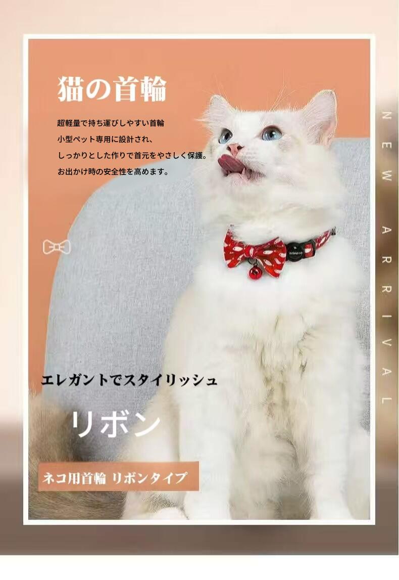 ��2/25������ʡ�P5�ܡ�ǭ�Ѽ��� 2�ĥ��å�ǭ�Ѽ��� ���դ� ��󥿥å��Хå��� Ķ���� ������Ĵ����ǽ ��ܥ� �������