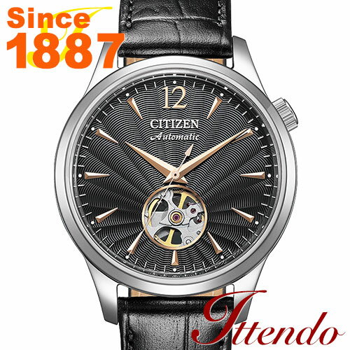 シチズンコレクション CITIZEN COLLECTION NH9131-14E メンズ 腕時計 機械式(自動巻き＋手巻き)