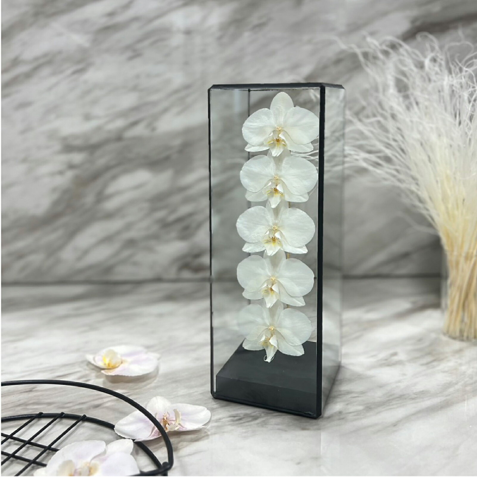 胡蝶蘭 ドライフラワー オリジナルギフト　誕生日 記念日 開店祝い お供え 仏花 ガラス The iTTO second M