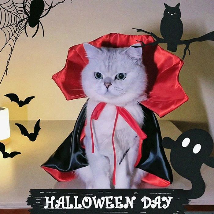 ハロウィン 猫 猫服 犬服 吸血鬼 ヴァンパイアマント マジックマント ペット服 小中型 かわいい おしゃれ ねこ ウエア キャットウエア ハロウィンコスプレ mj004j5j5lc