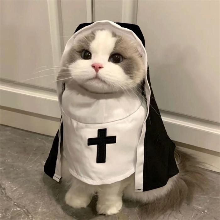 ペット 修道女 コスプレ 犬 猫 用 コスチューム 修道服 仮装 変装 犬服 猫服 犬用服 猫用服 衣装 小型犬 中型犬 かわいい 面白い インスタ映え 撮影用 ハロウィン S M L サイズ展開 キャットウェア 猫用品 ペットグッズ la057x1x1x1 3
