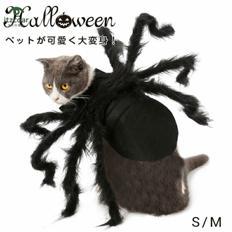 ハロウィン コスチューム 蜘蛛 クモネコ 犬 猫用 変身 コスプレ衣装 小型犬 halloween ドッグ dog 着ぐ..