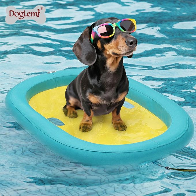 ペット 犬 浮き輪 ボート ワンちゃん ドッグ フロート ペット用 ワンちゃん用プールフロート 小型犬 中..