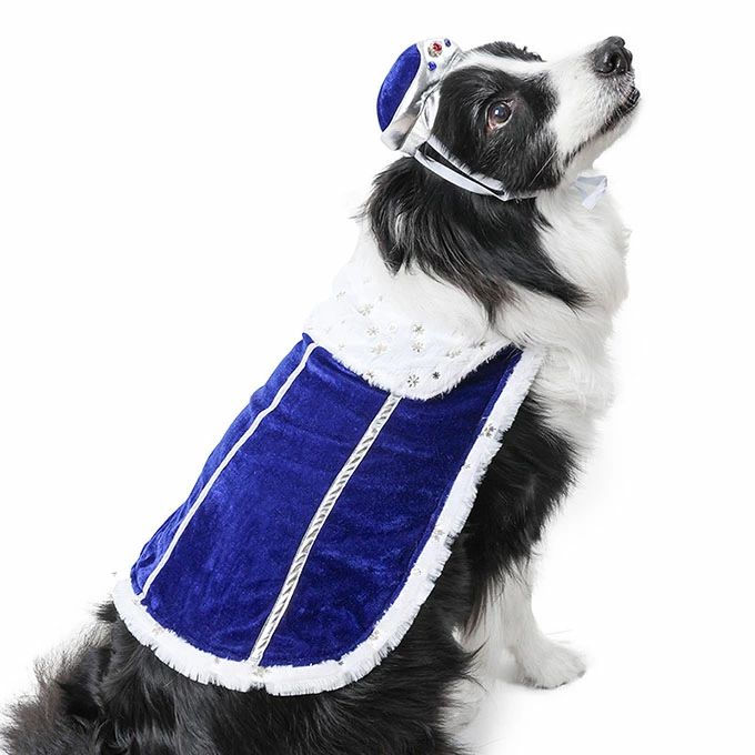 犬マント帽子付きペット服コスプレハ...