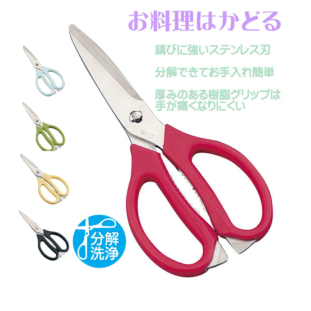 ＜メール便 全国送料無料＞　分解できる　TKGキッチンバサミ　5色カラー　食洗機対応　＜ステンレス刃　握りやすいグリップ　色分けで清潔安心　錆びない　ハサミ＞