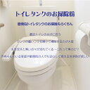 トイレタンク洗浄剤10包 日本製 送料無料 トイレタンク洗浄剤 35g×10包入　トイレタンク掃除 トイレ掃除 トイレ便器掃除 トイレ便器 掃除 洗剤 2