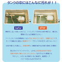 トイレタンク洗浄剤10包 日本製 送料無料 トイレタンク洗浄剤 35g×10包入　トイレタンク掃除 トイレ掃除 トイレ便器掃除 トイレ便器 掃除 洗剤