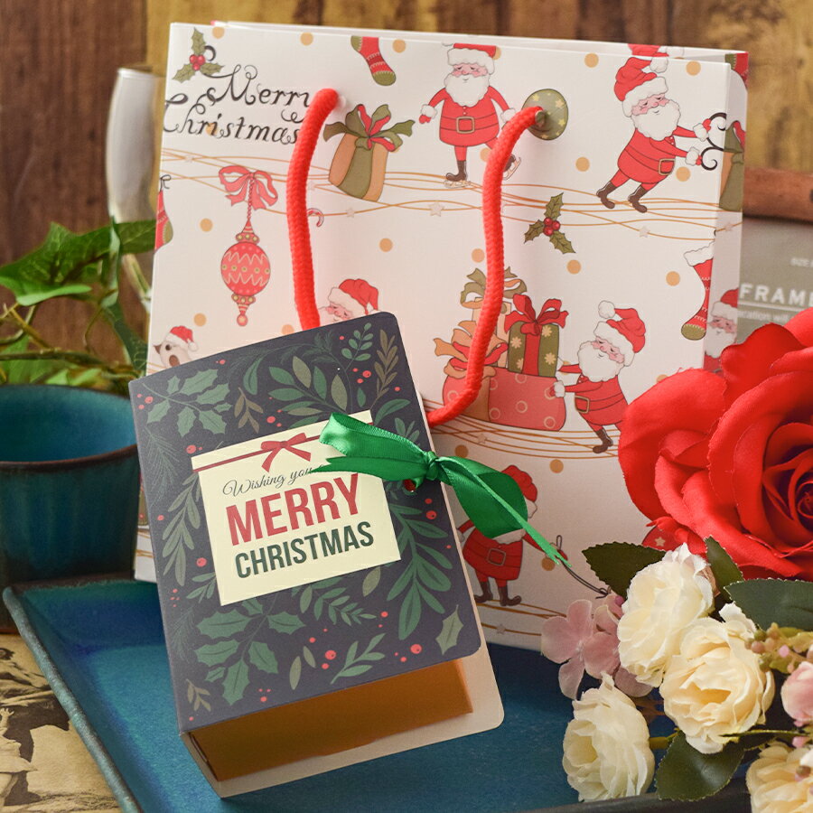 ラッピングセットBOXクリスマス(BOX・巾着袋付き)包装セット アクセサリー ギフト 紙袋 BOX ボックス 巾着袋 シルバー ステンレス ネックレス リング...