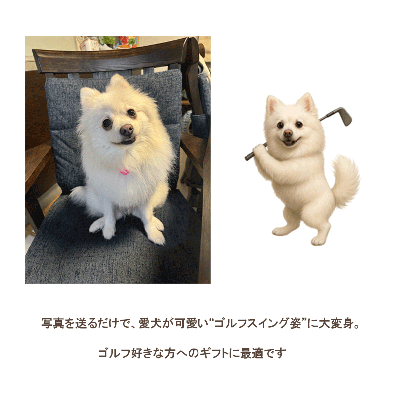 �����λҥ���� �� ǭ �ѥ������С��ۥ���� �ѥ������С�����å� �ѥ������С�ʶ���ɻ� ������� ����ե��� �͡���ץ졼�� �͡��ॿ�� ̾�� golf ̾���� �İ��� ������� ������ ����ե��� �͡���ץ졼�� �Ƹ� �ѥ� �ȥ��ס��ɥ� ����ʥ����� ����